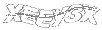 Check code