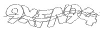 Check code