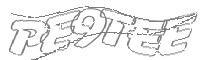 Check code
