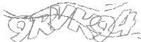 Check code