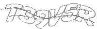 Check code