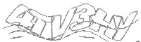 Check code
