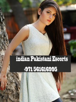 Vip Call girls burdubai - Escort Escort in JLT | Girl in Dubai